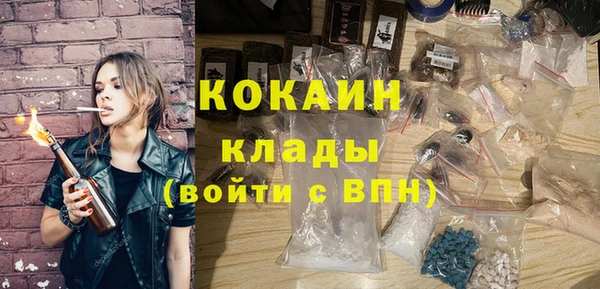стаф Балахна
