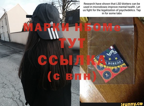 стаф Балахна