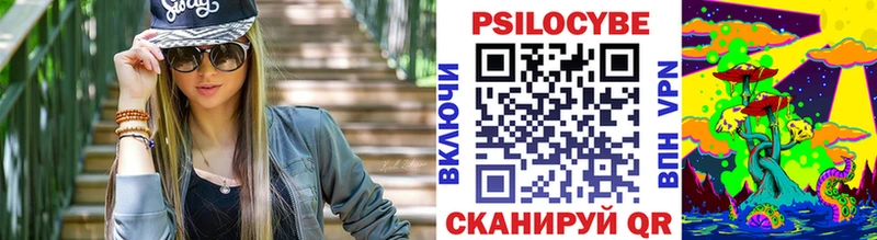 Псилоцибиновые грибы MAGIC MUSHROOMS  купить наркоту  Шимановск 